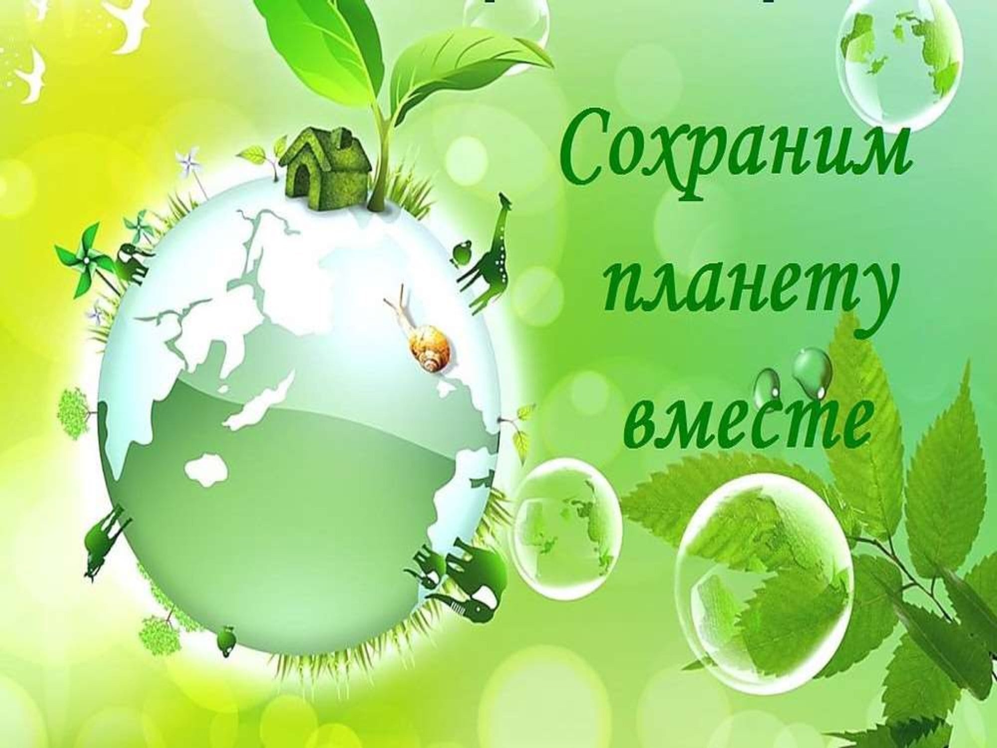 «Зеленый мир»